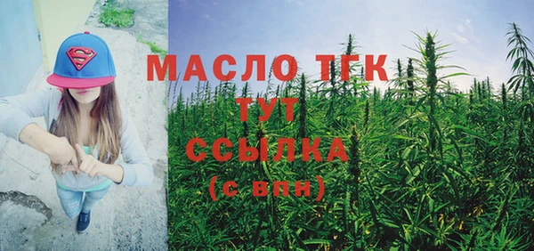метадон Богданович