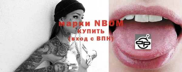 соль ск Богородицк