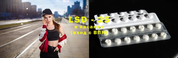 спиды Бородино
