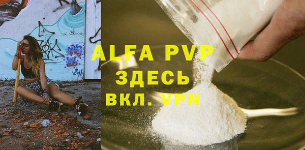 спиды Бородино