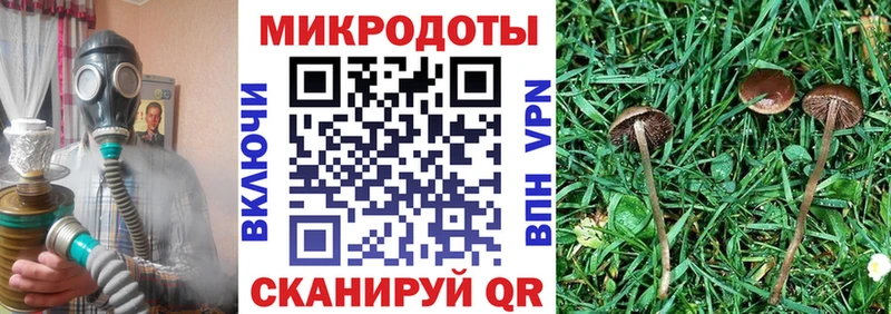 Галлюциногенные грибы мухоморы  хочу наркоту  Кушва 