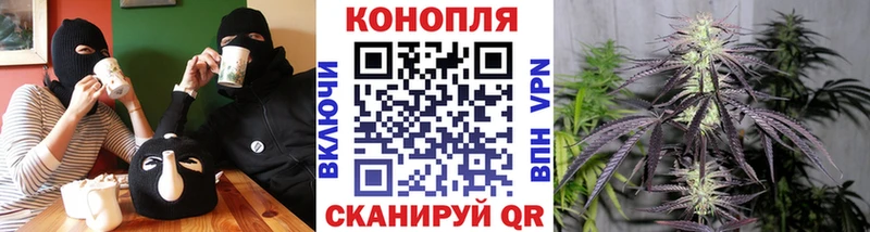 Каннабис OG Kush Кушва